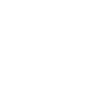 insurance icon