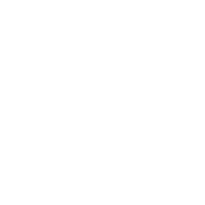 insurance icon