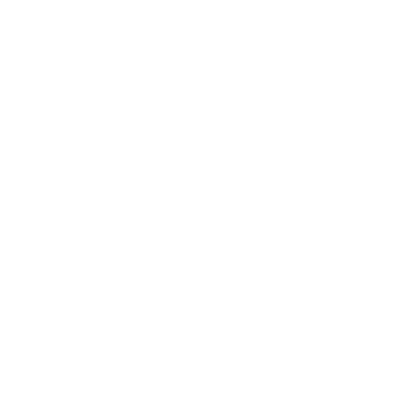 insurance icon