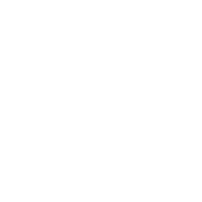 insurance icon