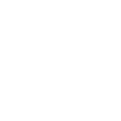 insurance icon