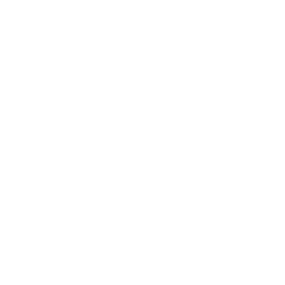 insurance icon
