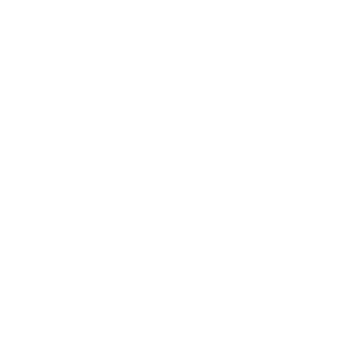 insurance icon