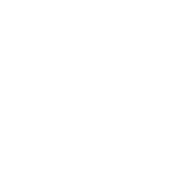 insurance icon
