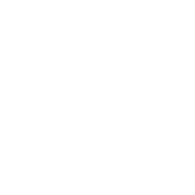 insurance icon
