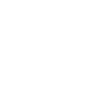 insurance icon