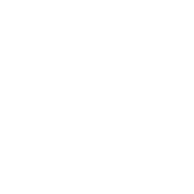 insurance icon