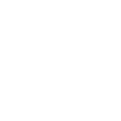insurance icon