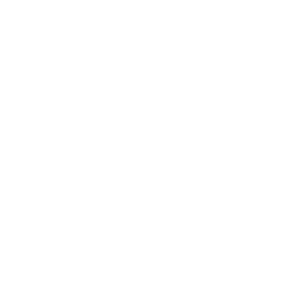 insurance icon