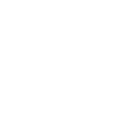 insurance icon