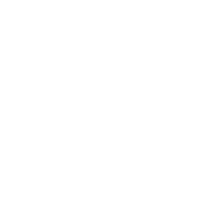 insurance icon