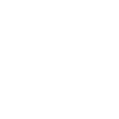 insurance icon
