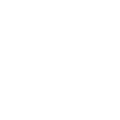 insurance icon