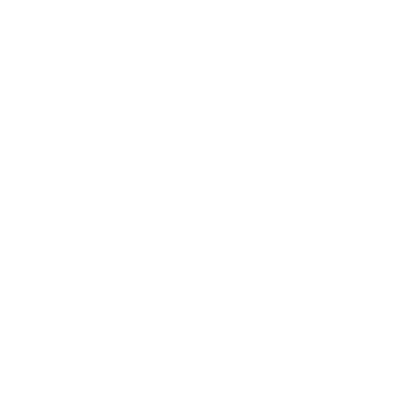 insurance icon