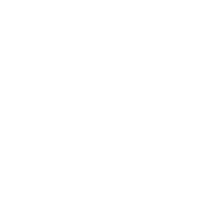 insurance icon