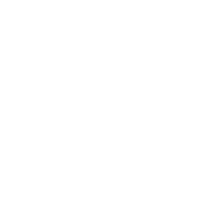 insurance icon