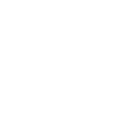 insurance icon