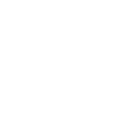 insurance icon