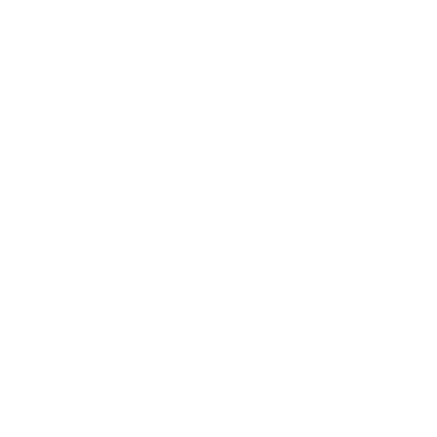 insurance icon