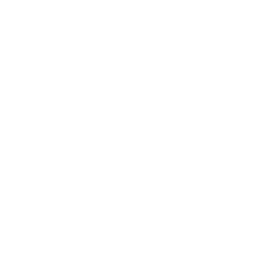 insurance icon