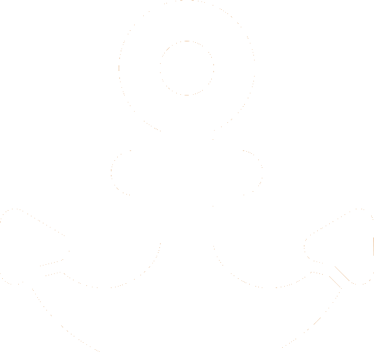 insurance icon