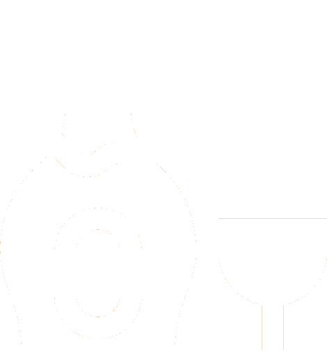 insurance icon