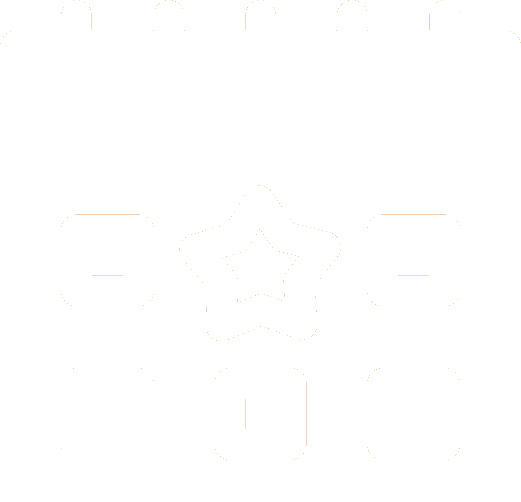 insurance icon