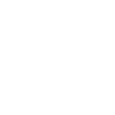 insurance icon