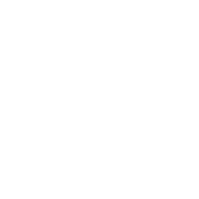 insurance icon