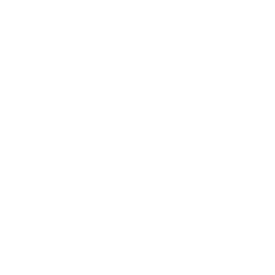 insurance icon