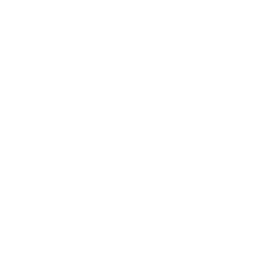 insurance icon