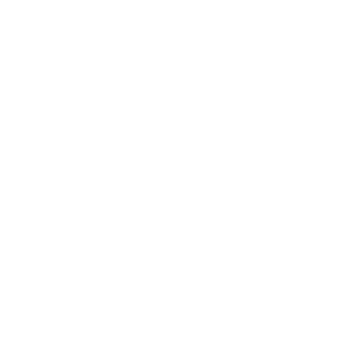 insurance icon