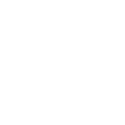 insurance icon