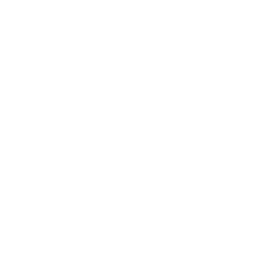 insurance icon