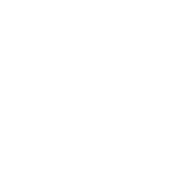 insurance icon