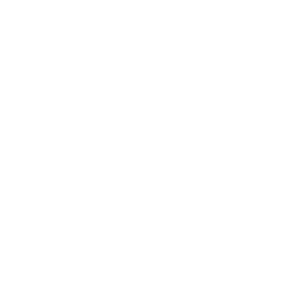 insurance icon
