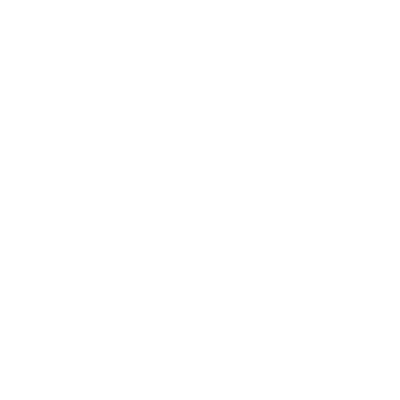 insurance icon