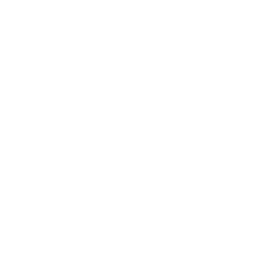 insurance icon