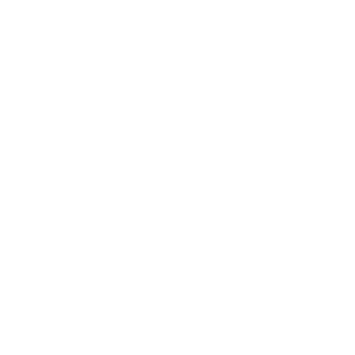 insurance icon