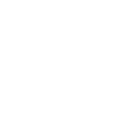 insurance icon