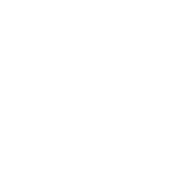 insurance icon