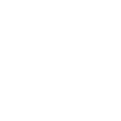 insurance icon
