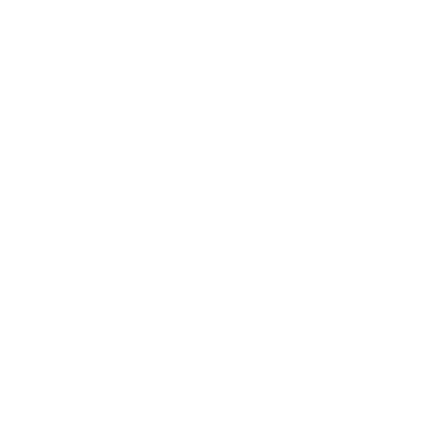 insurance icon