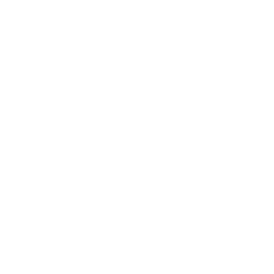 insurance icon