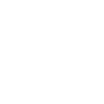 insurance icon