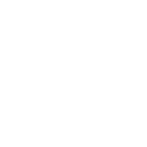 insurance icon