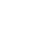 insurance icon