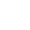 insurance icon