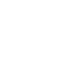 insurance icon