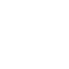 insurance icon